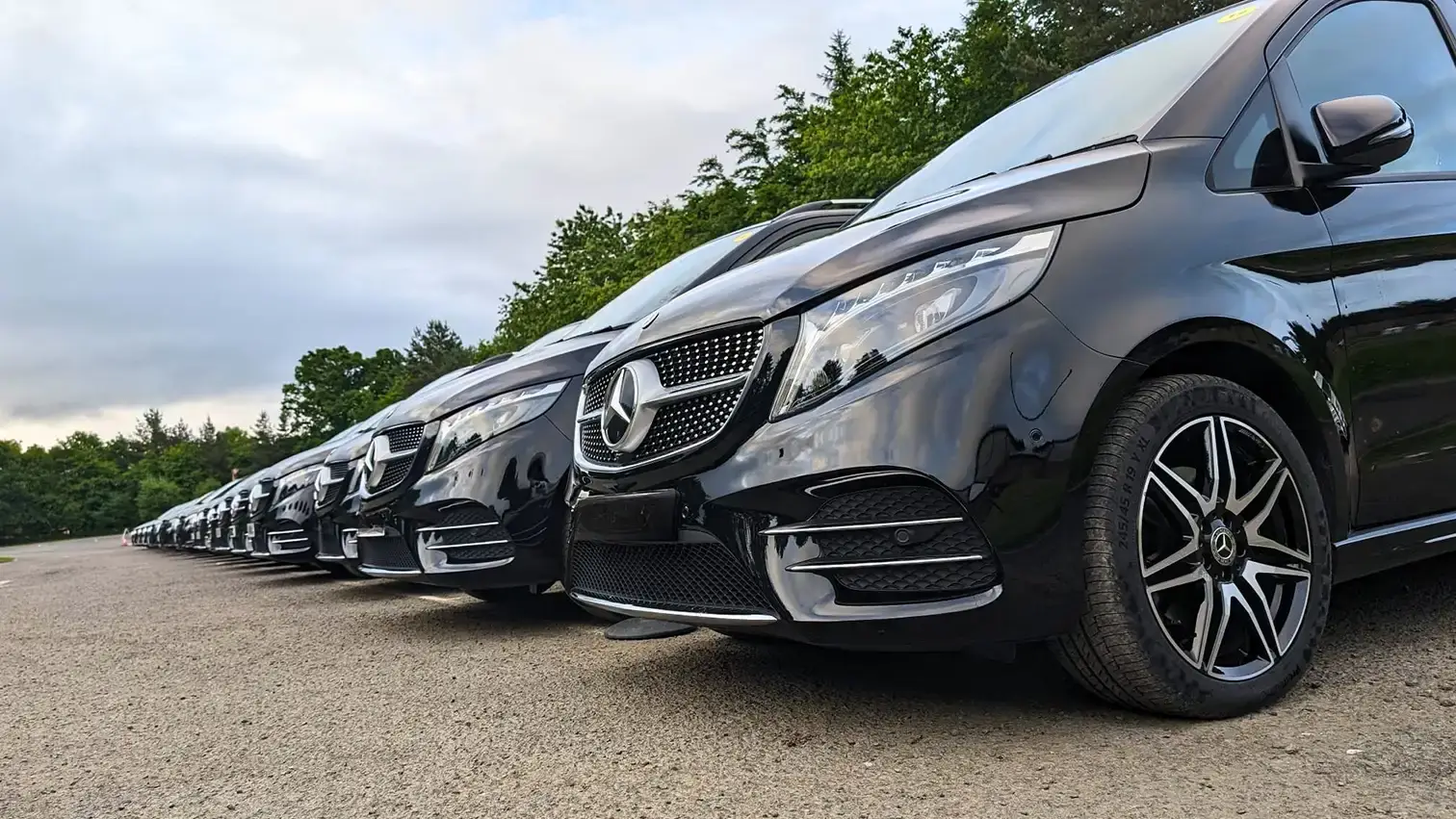 A long line of black luxury Mercedes-Benz V-Class MPVs parked in a row on a gravel surface next to green trees under a cloudy sky.